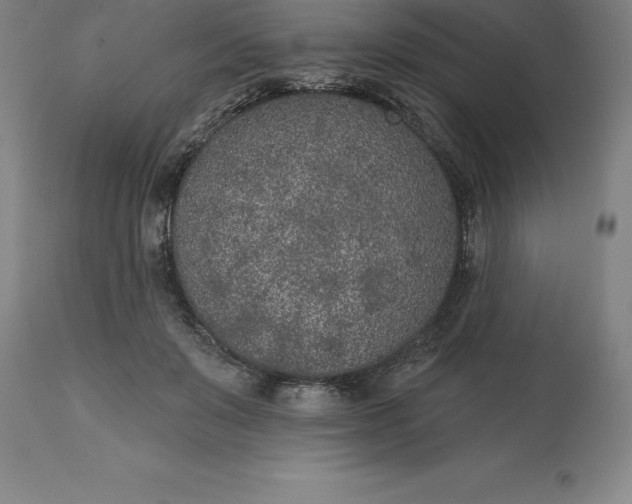 X0000113630503200910021855