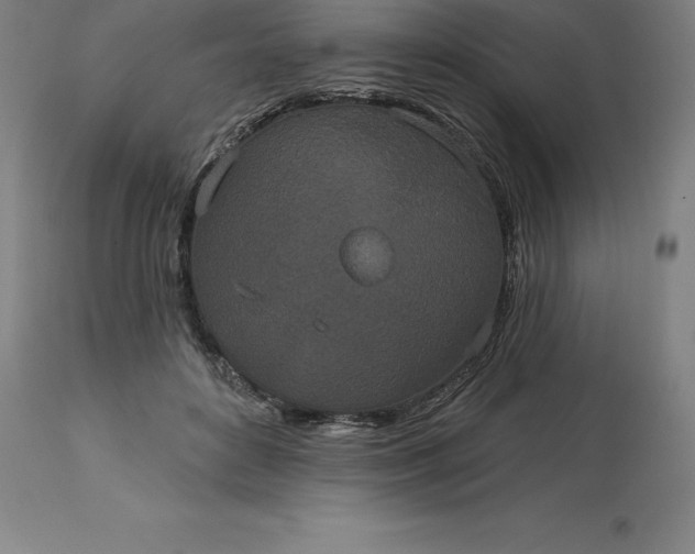 X0000113630504200910021855