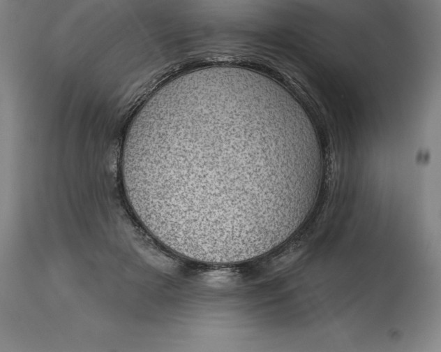 X0000113630505200910021855