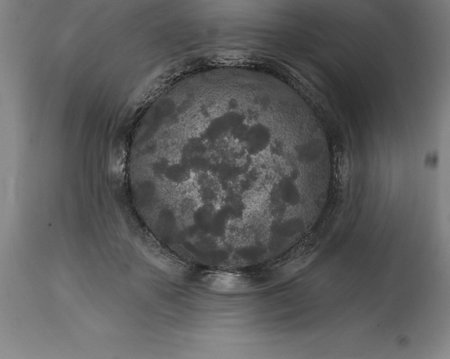 X0000113630507200910021855