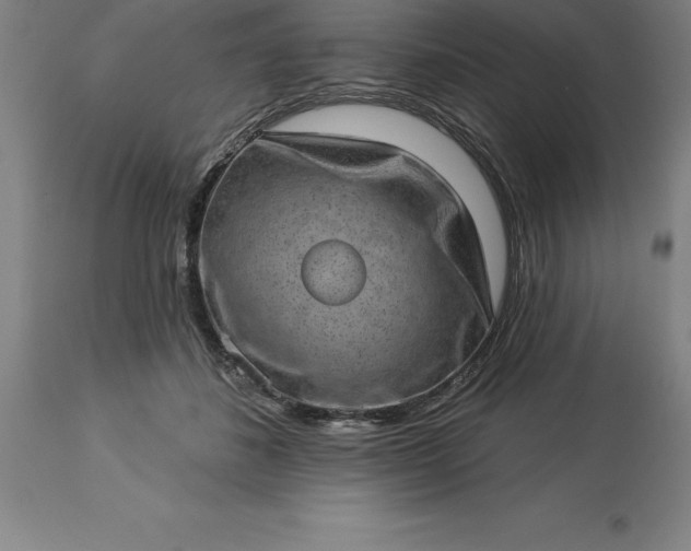 X0000113630508200910021855