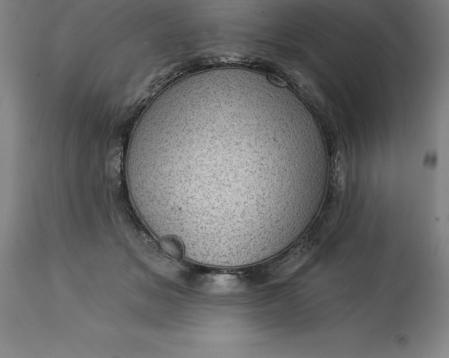 X0000113630509200910021855