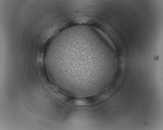 X0000113630510200910021855