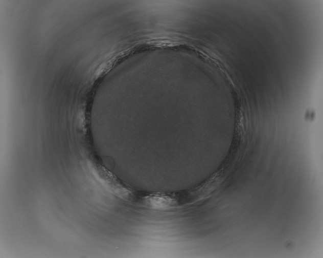 X0000113630512200910021855