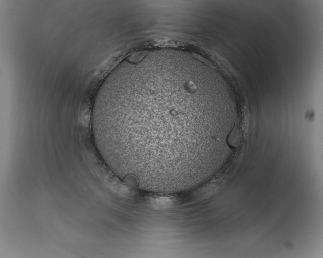 X0000113630513200910021855