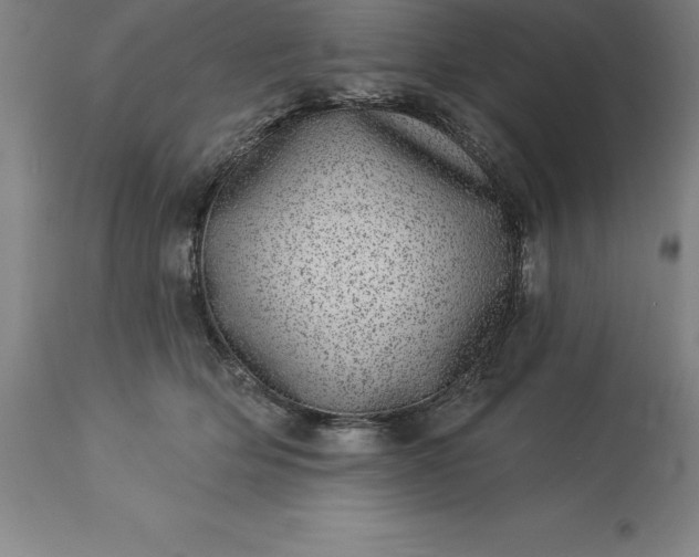 X0000113630514200910021855