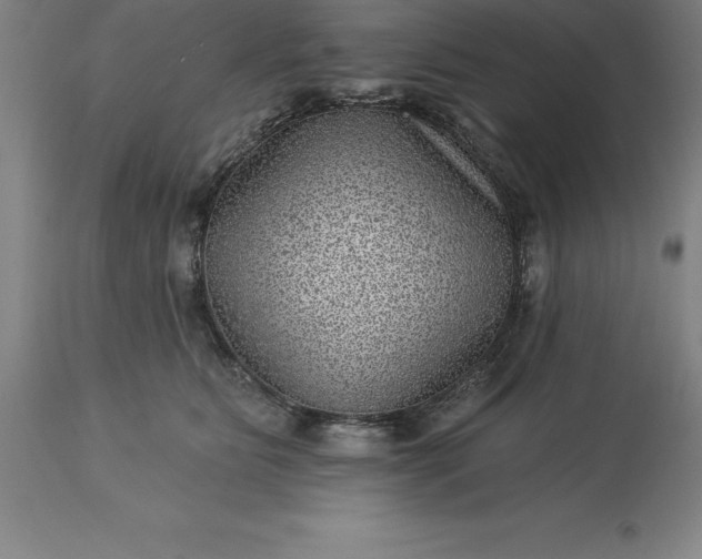 X0000113630515200910021855