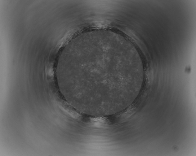 X0000113630516200910021855