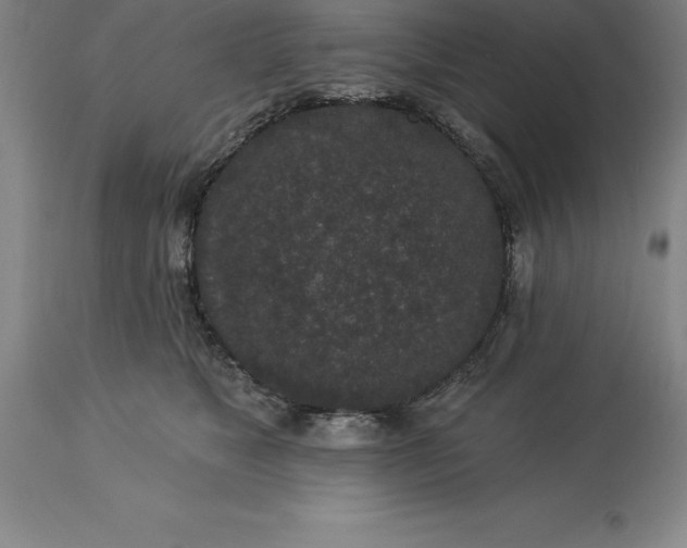 X0000113630517200910021855