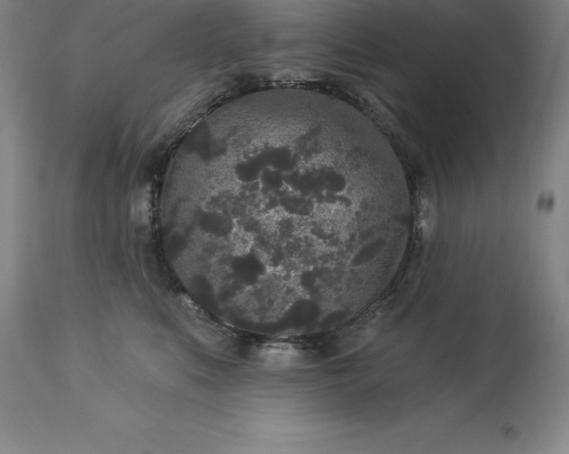 X0000113630519200910021855