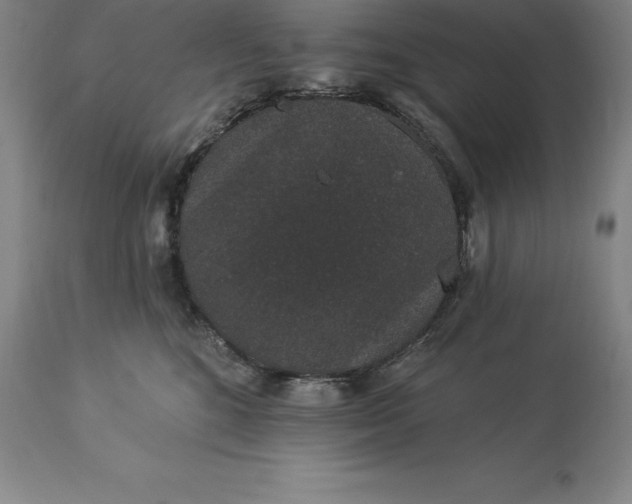 X0000113630520200910021855