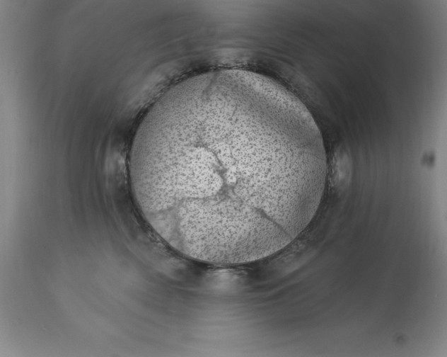 X0000113630522200910021855