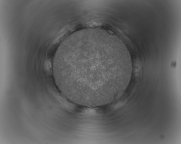 X0000113630523200910021855