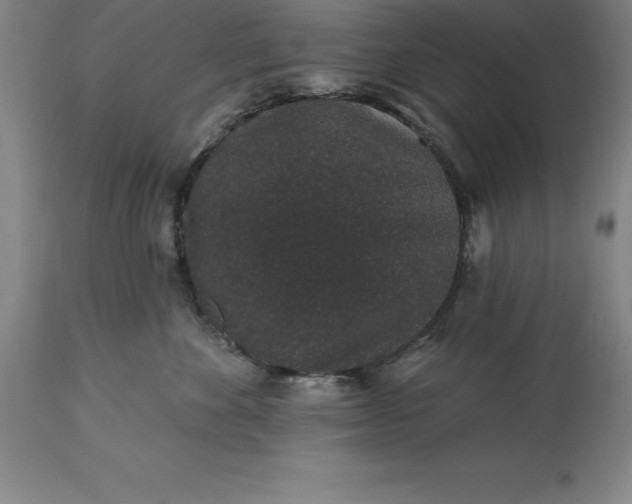 X0000113630524200910021855