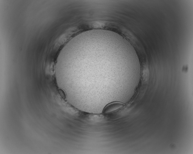 X0000113630525200910021855