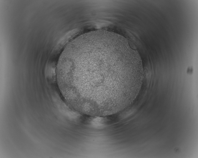 X0000113630527200910021855