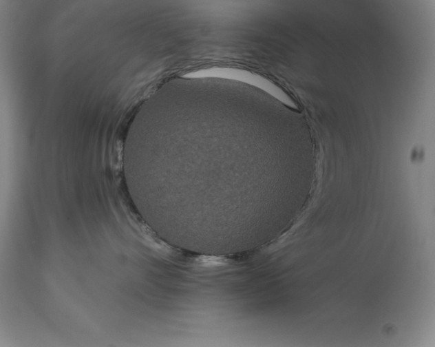 X0000113630528200910021855
