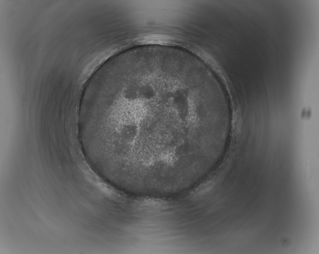 X0000113630529200910021854