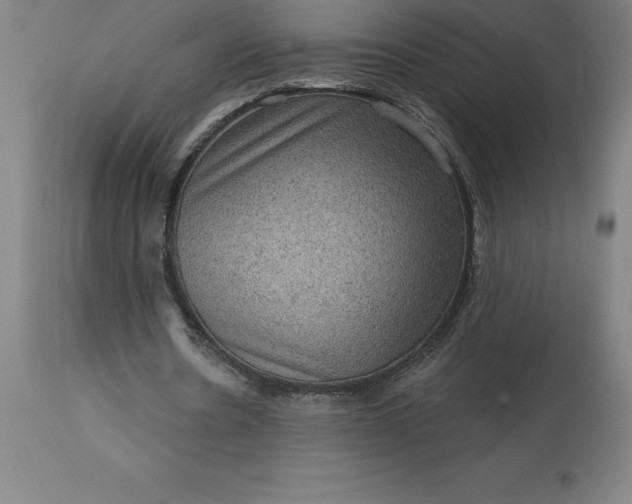 X0000113630530200910021854