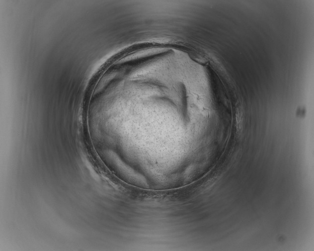 X0000113630532200910021854