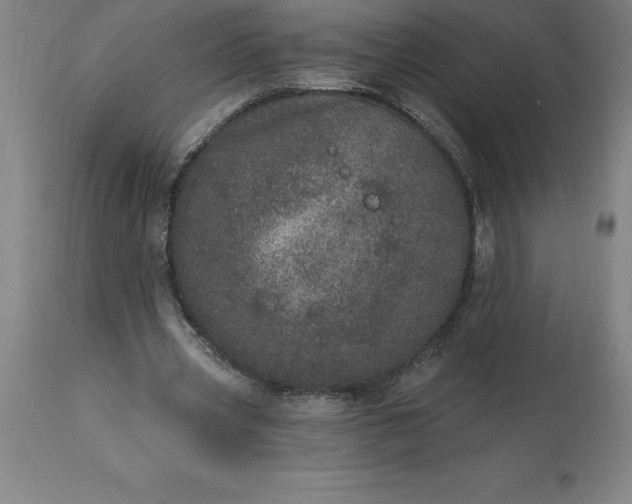 X0000113630533200910021854