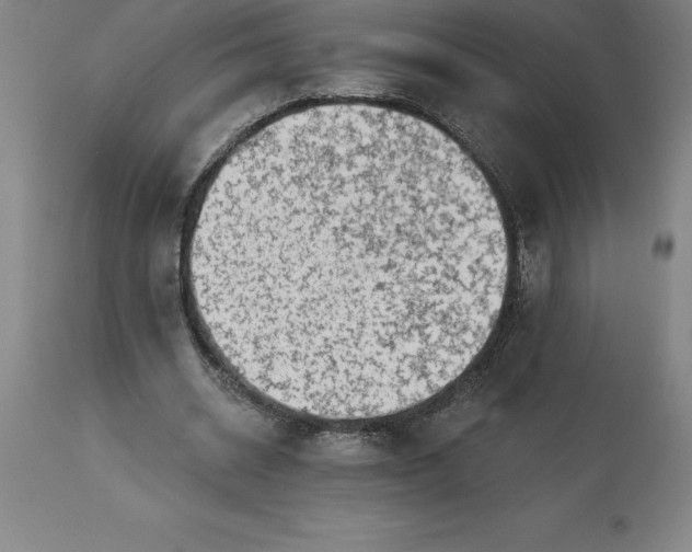 X0000113630534200910021854