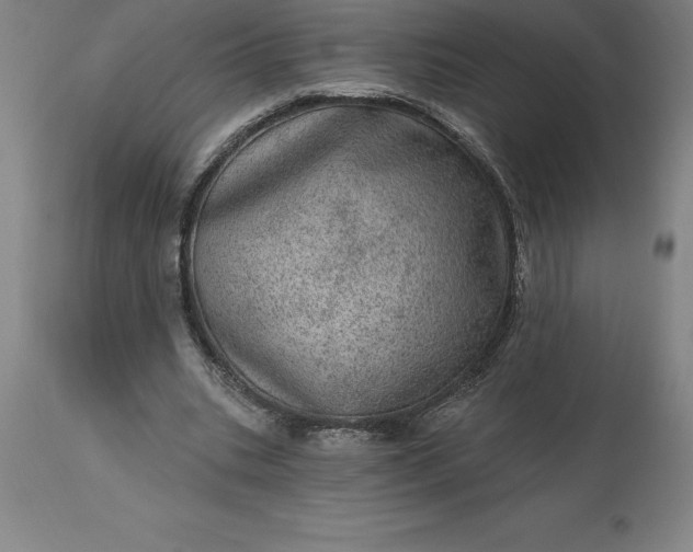 X0000113630535200910021854
