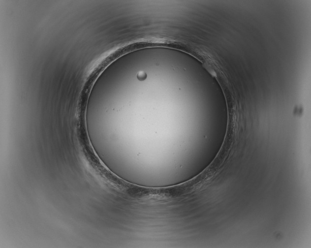X0000113630536200910021854