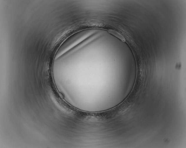X0000113630538200910021854