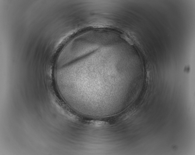 X0000113630539200910021854