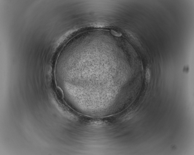 X0000113630540200910021854