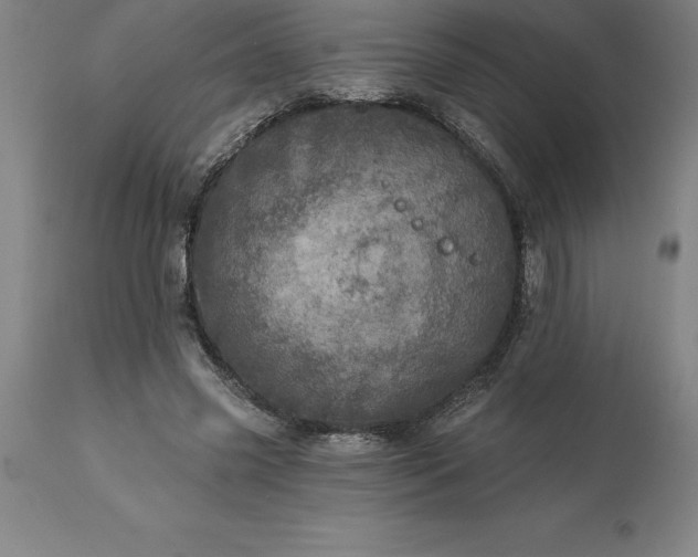 X0000113630541200910021854