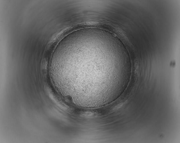 X0000113630542200910021854