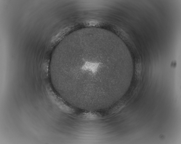 X0000113630545200910021854