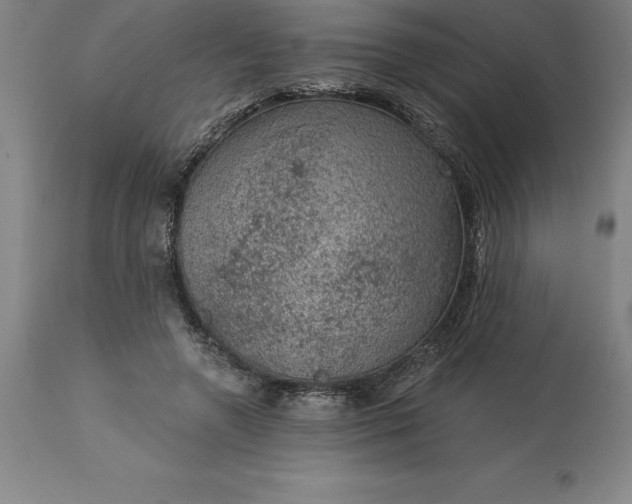 X0000113630546200910021854