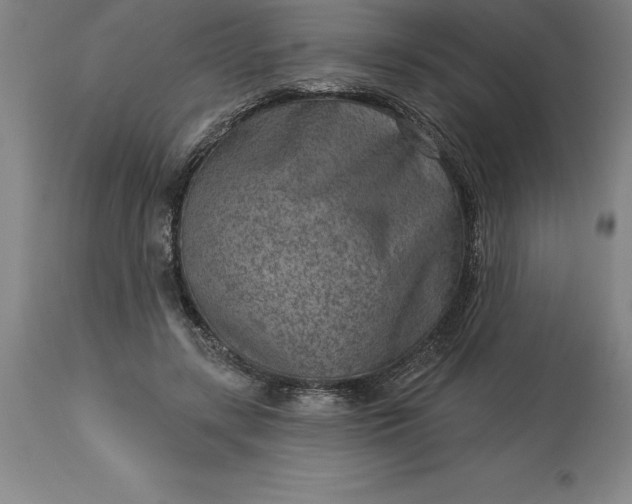 X0000113630547200910021854
