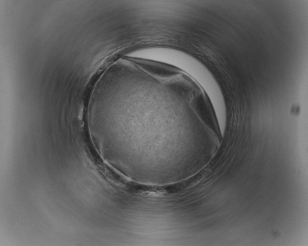 X0000113630548200910021854