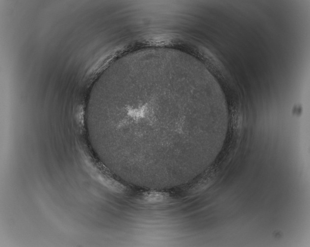 X0000113630549200910021854