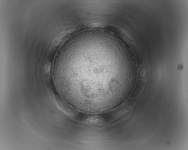 X0000113630550200910021854
