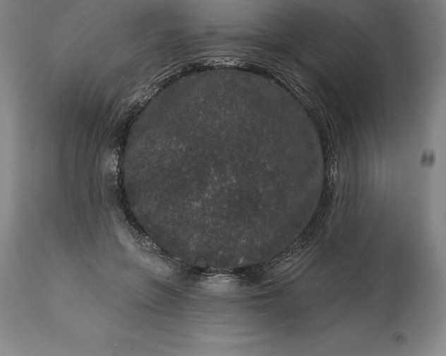 X0000113630551200910021854