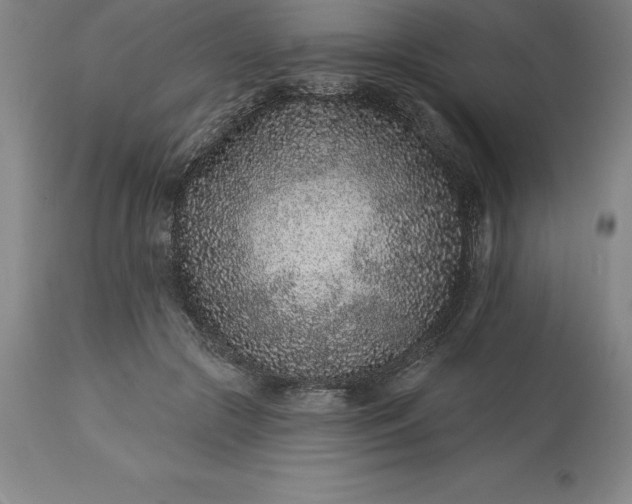 X0000113630553200910021854