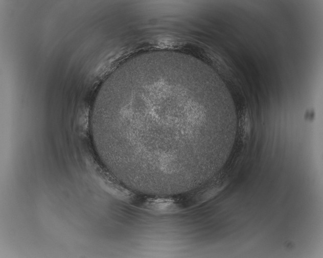 X0000113630554200910021854