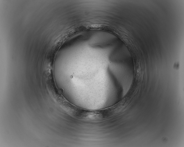 X0000113630555200910021854