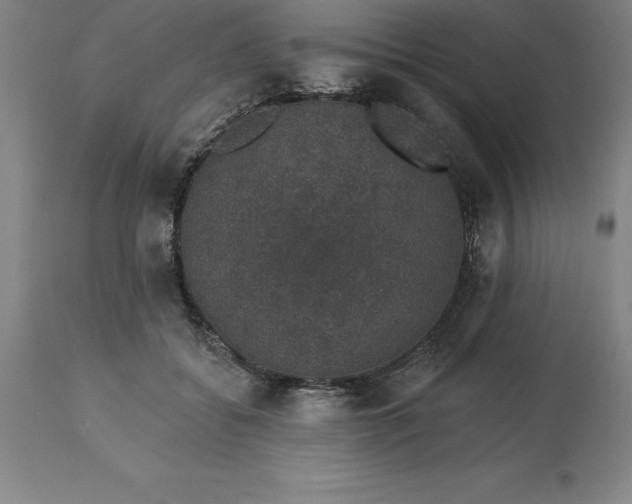 X0000113630556200910021854