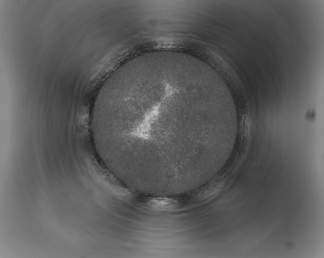 X0000113630557200910021854