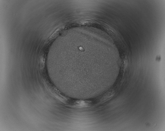 X0000113630558200910021854