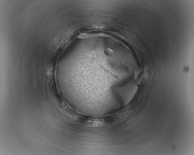 X0000113630559200910021854