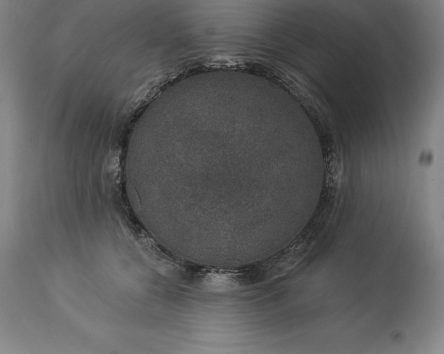 X0000113630560200910021854
