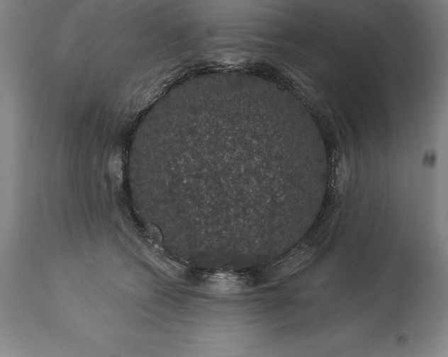 X0000113630562200910021854