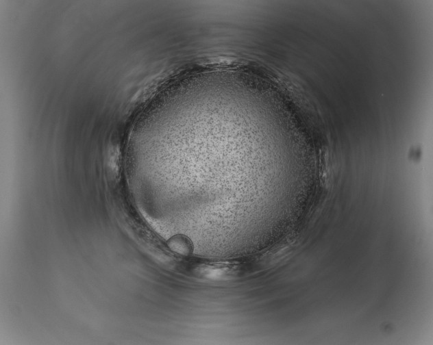 X0000113630563200910021854